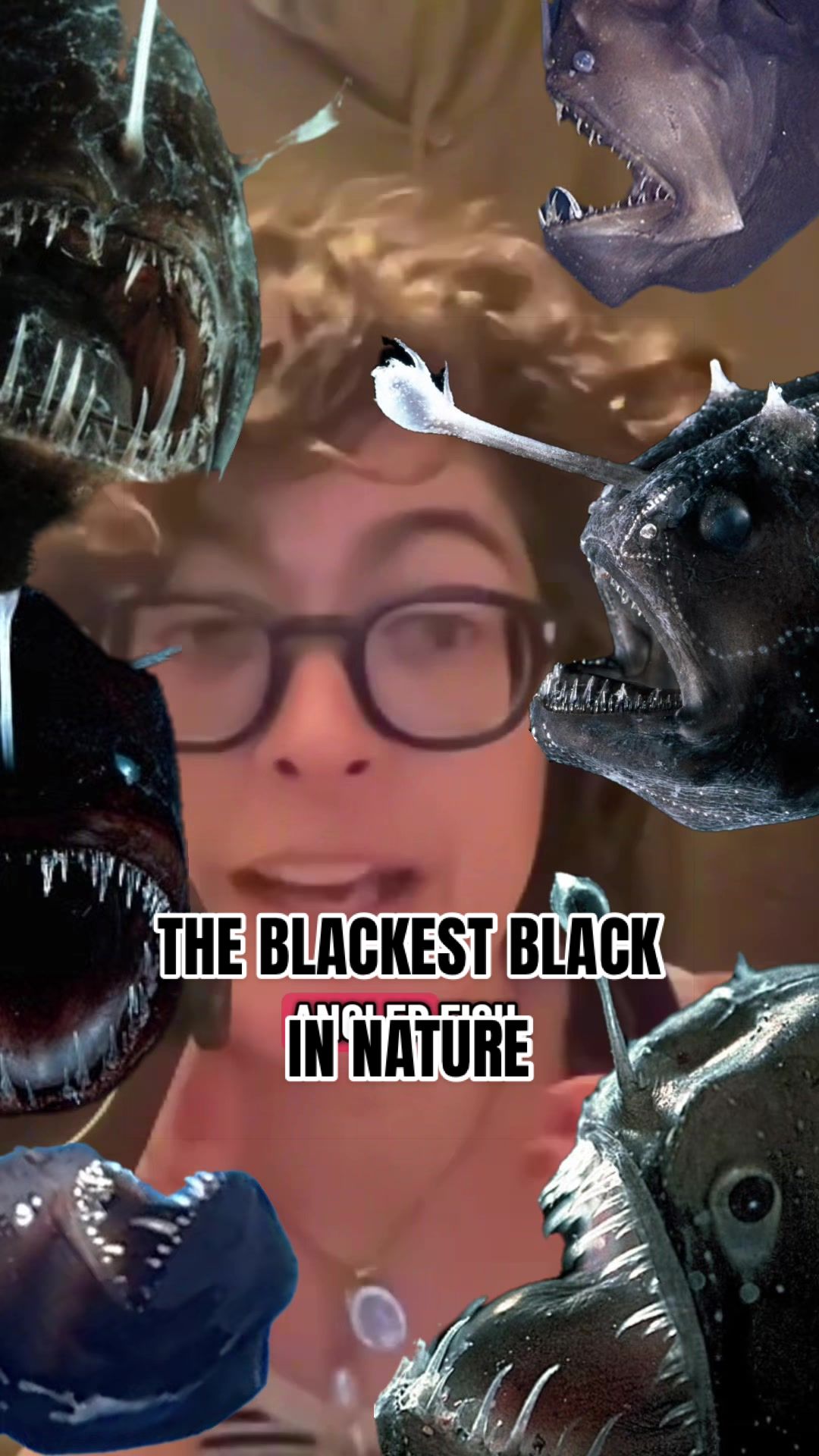 @terrestrialspodcast