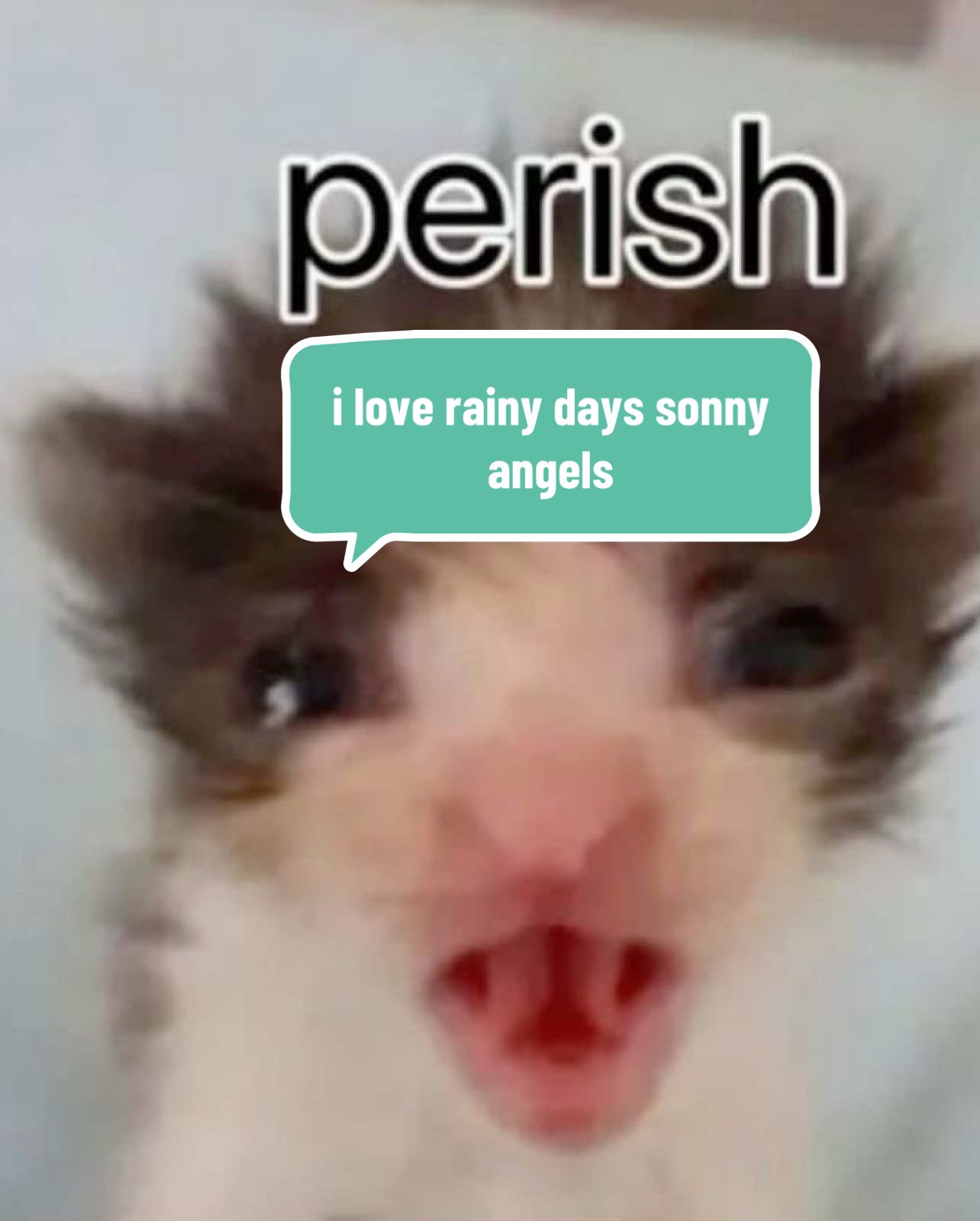 @sarily u