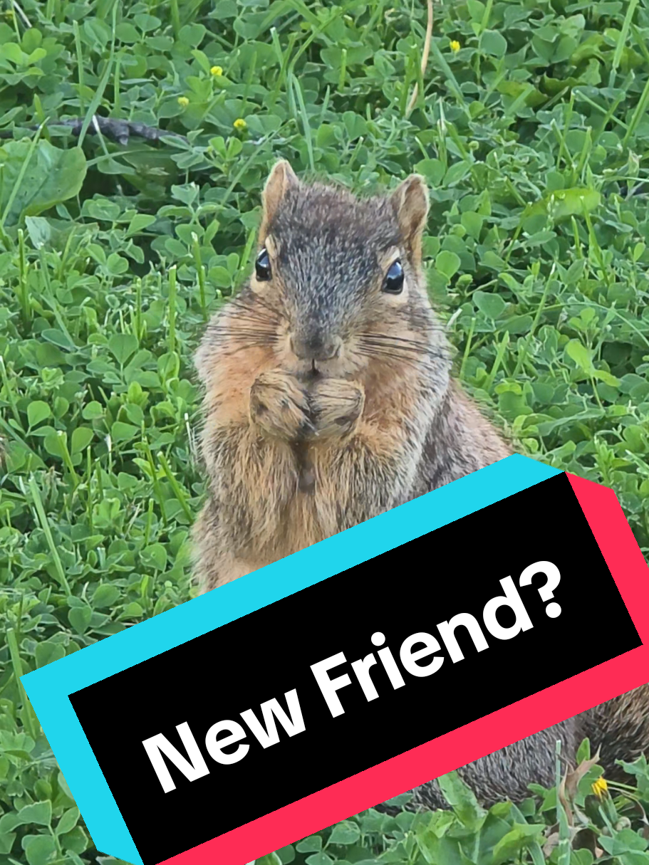 @Pete Thewirelessguy