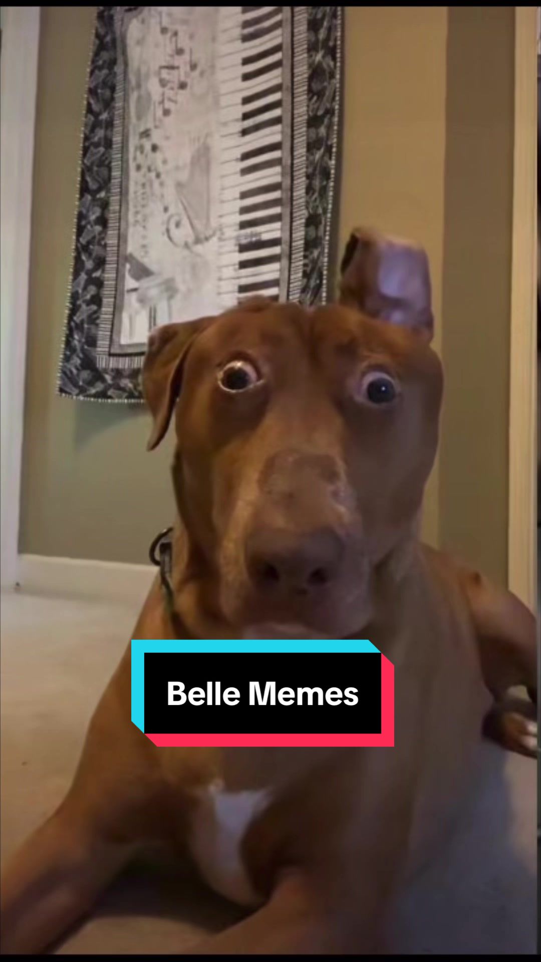 @Belle O’Neill