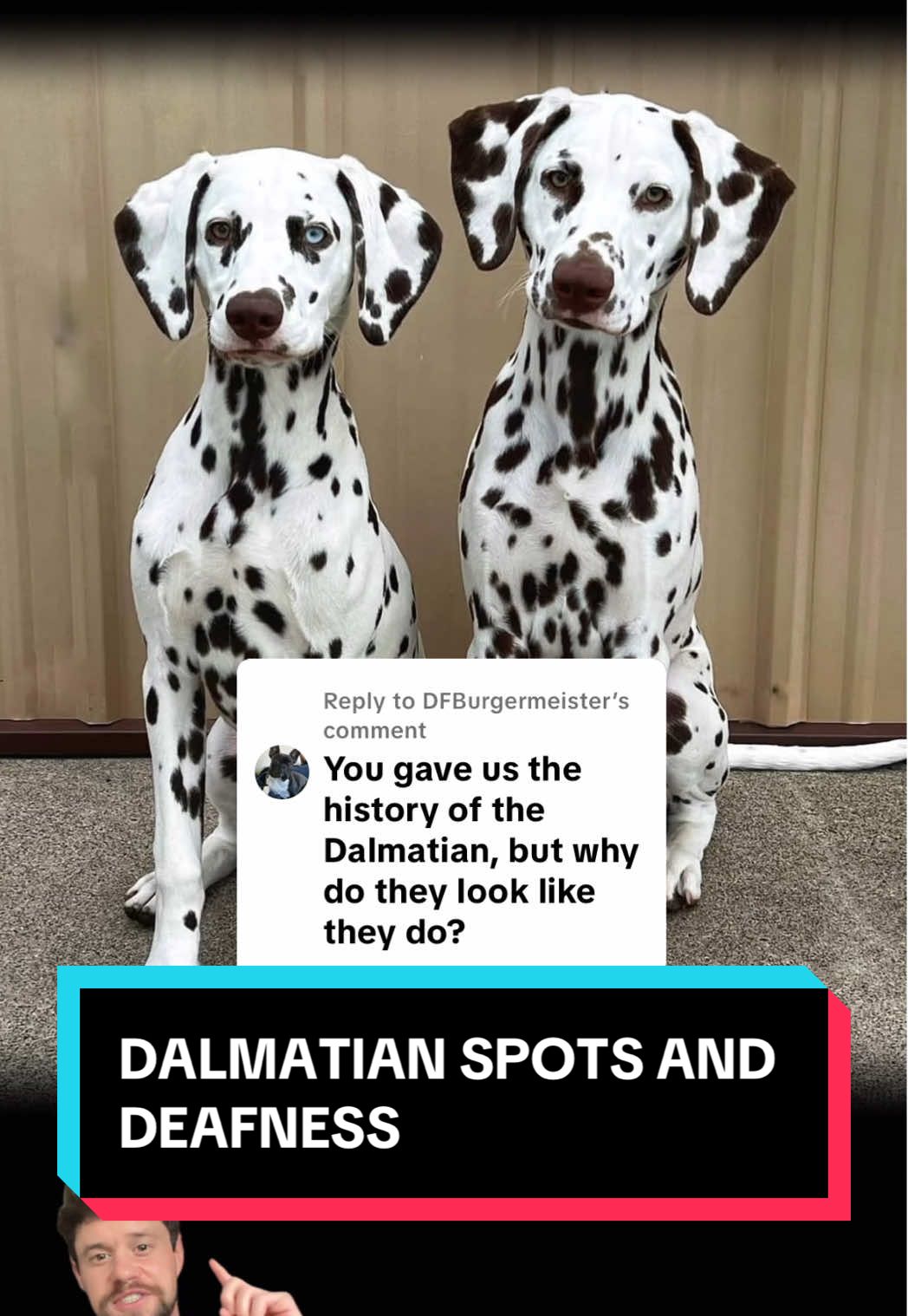 @vet.rowan
