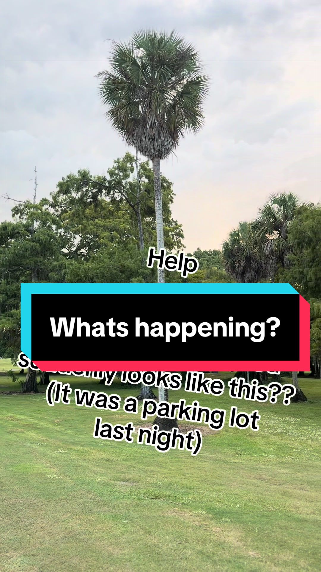 @Justin