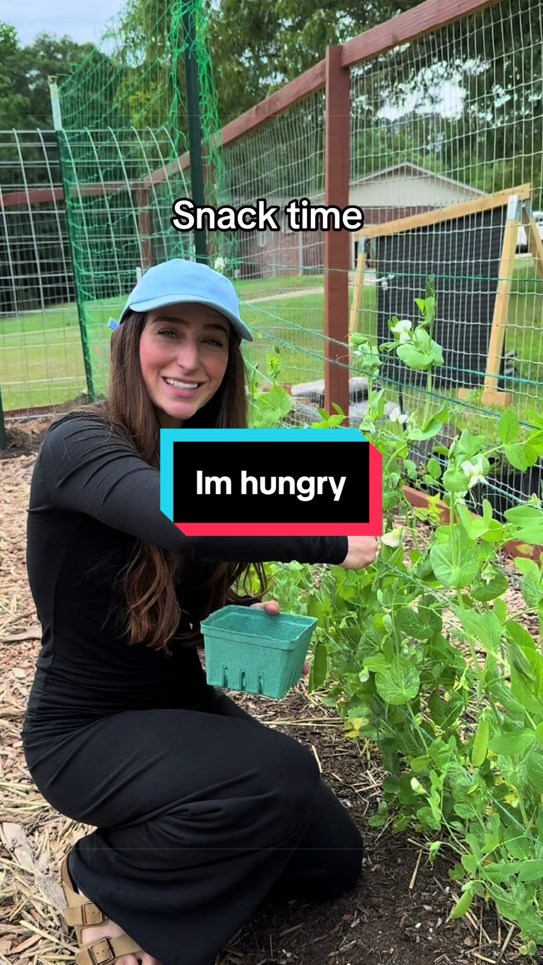 @Kylie | Garden & DIY👩🌾
