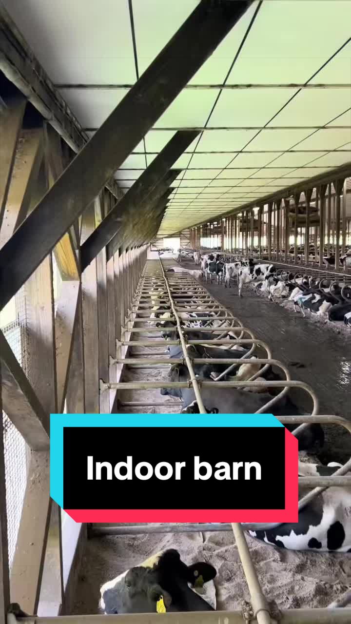 @Dairy Vet Dr. Michelle