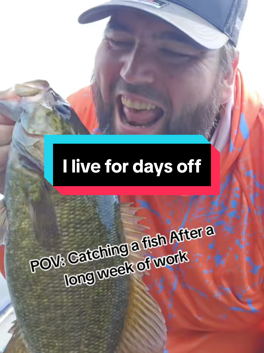 @SP_The_Ned_Master