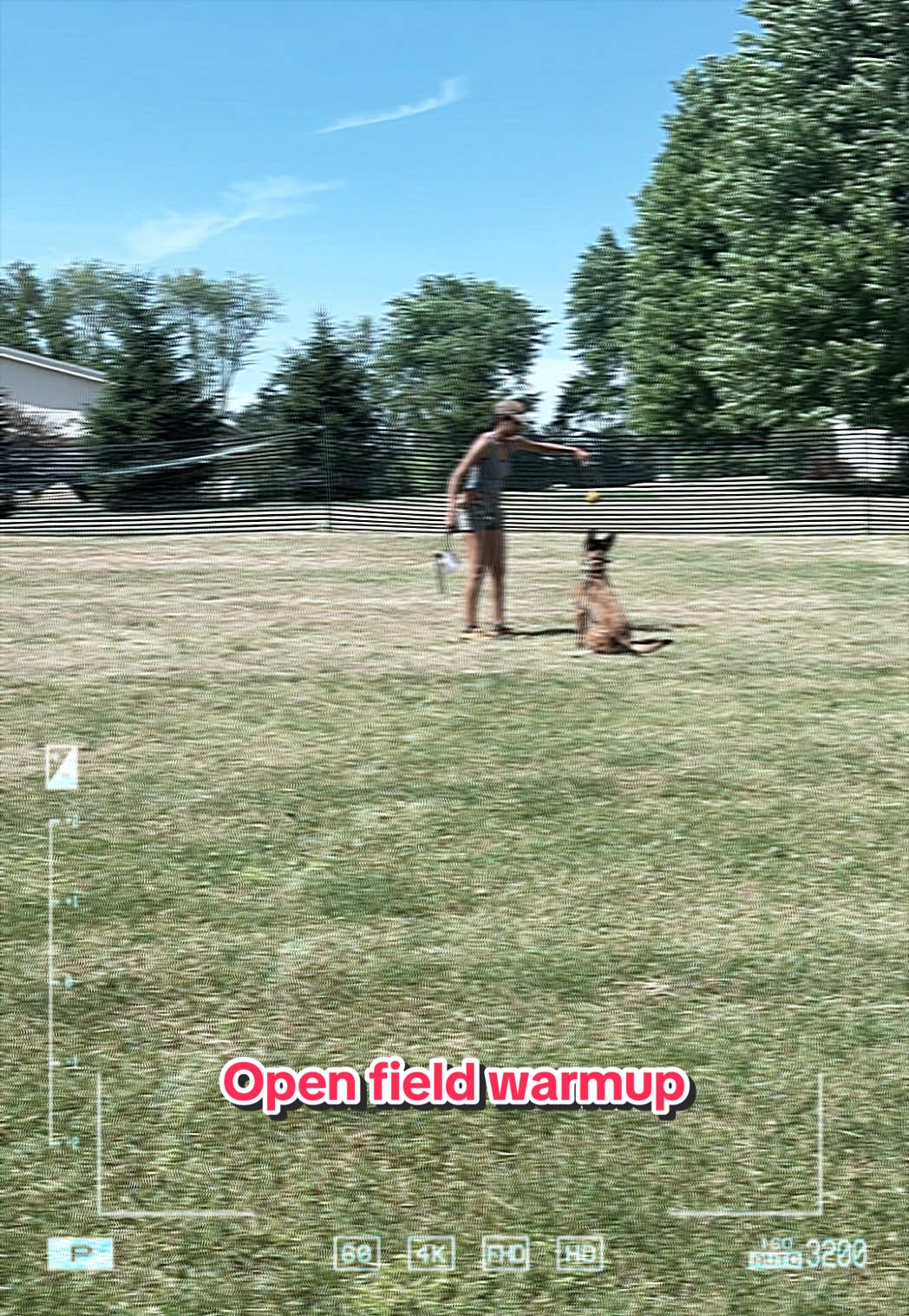 @dogstrainjen