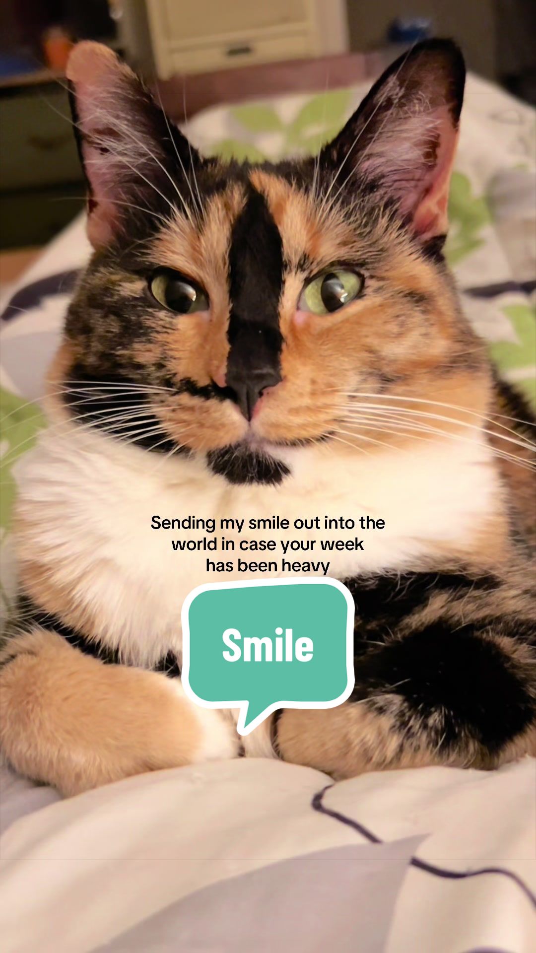 @SnickersTheSmilingCat