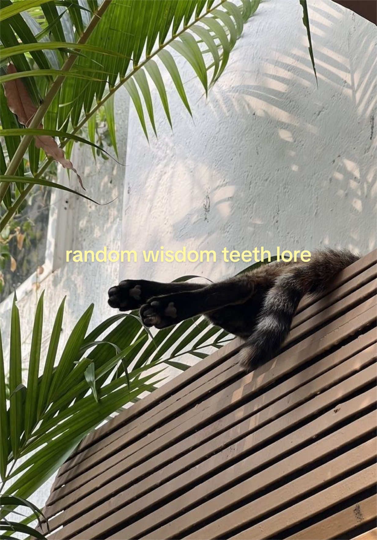 @Taliyah Joelle