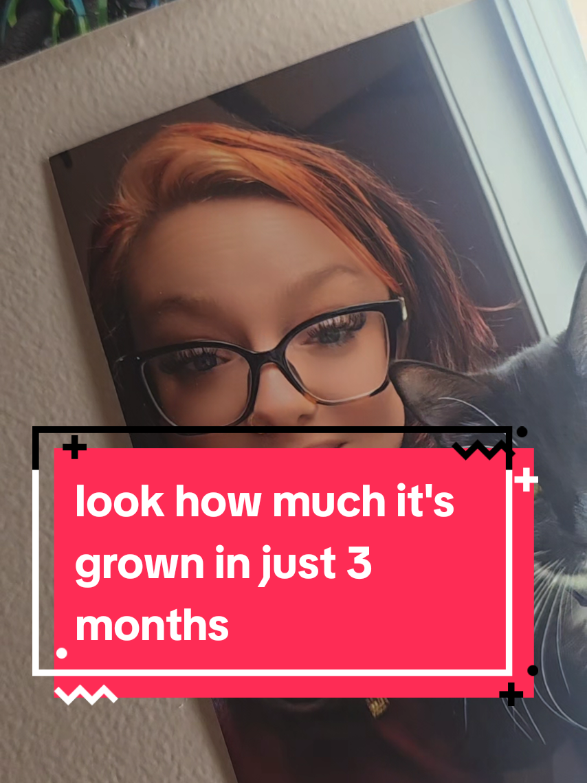 @HisQueen👑