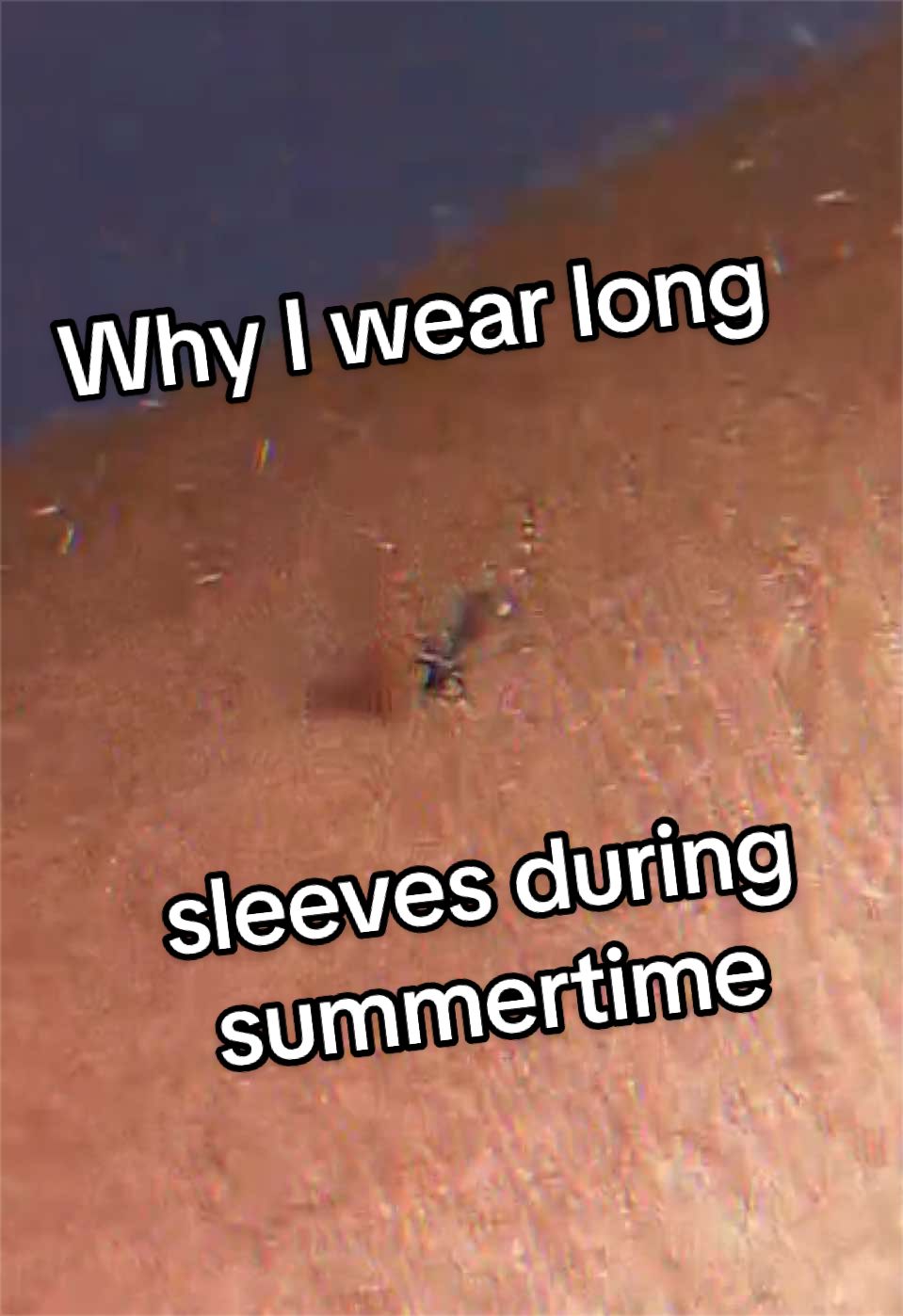 @Mr. Skate & Watch