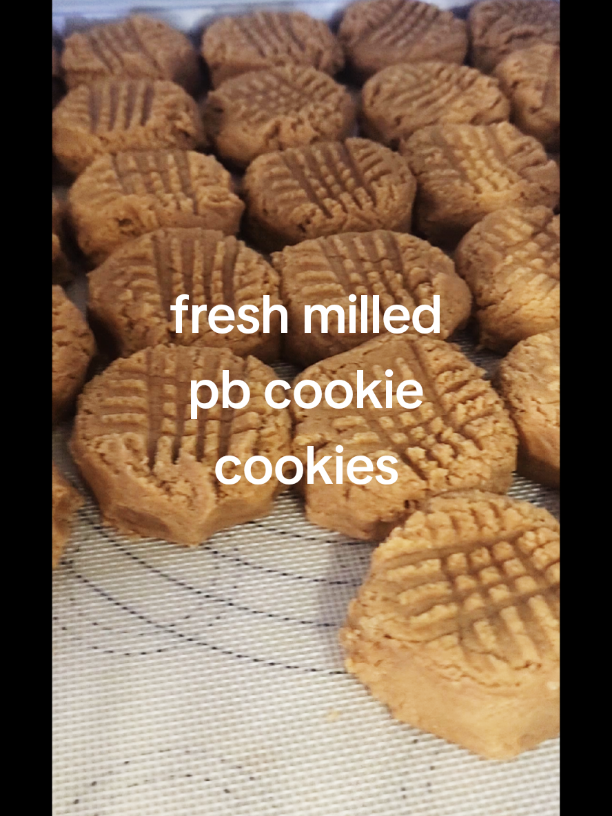 @Regenfarmhouseshop