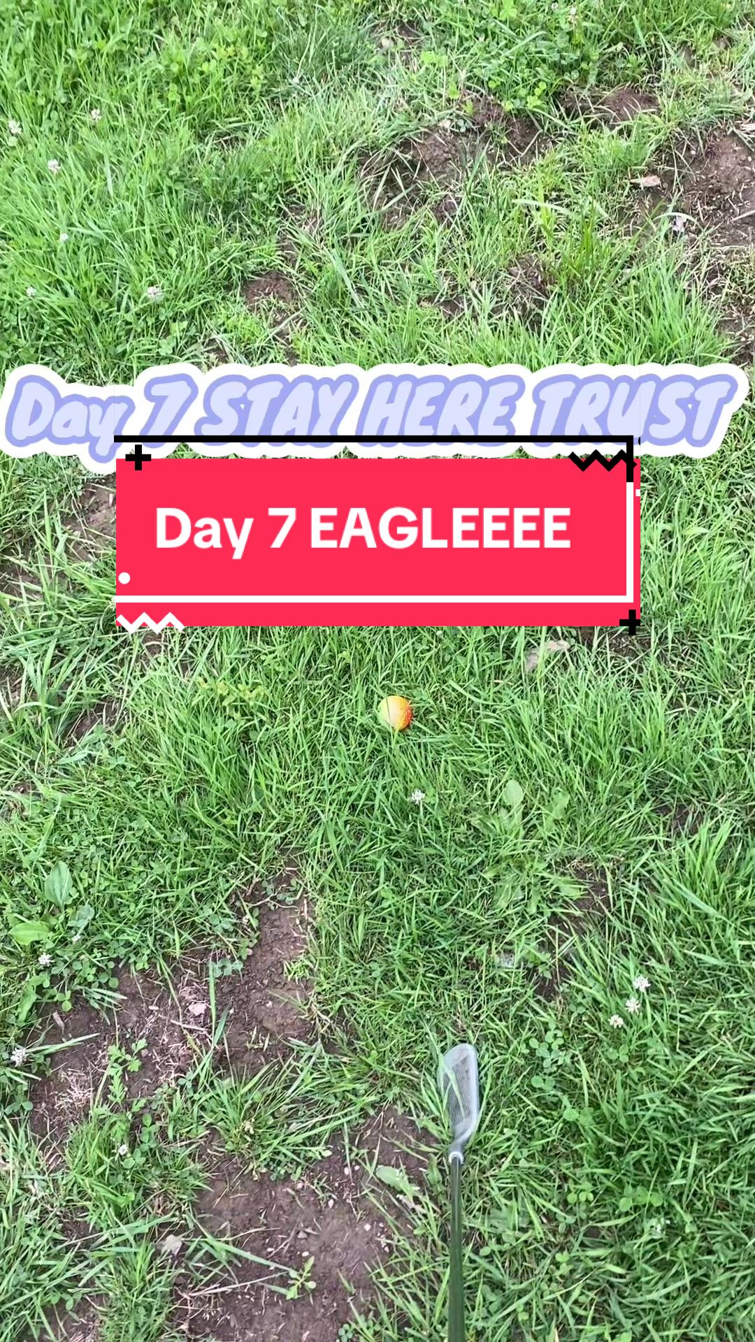 @Woods🦅