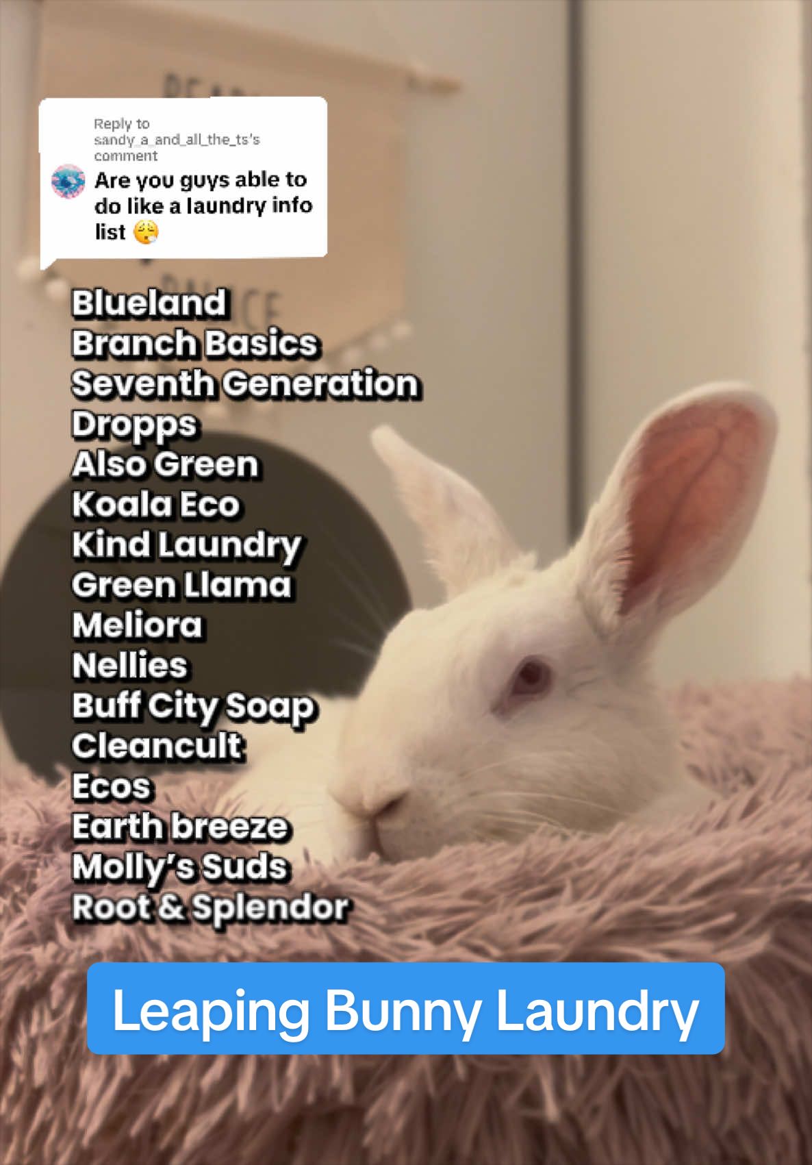 @Leaping Bunny Program
