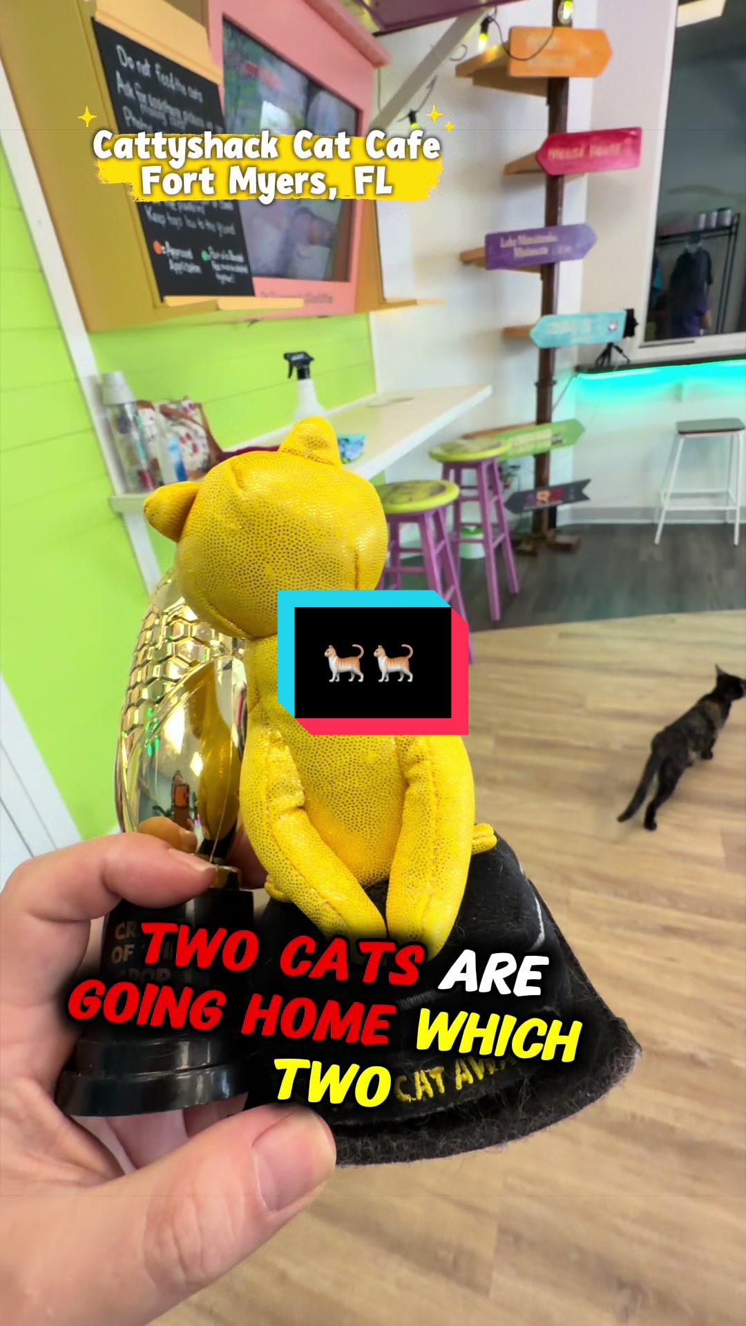 @cattyshackcafe