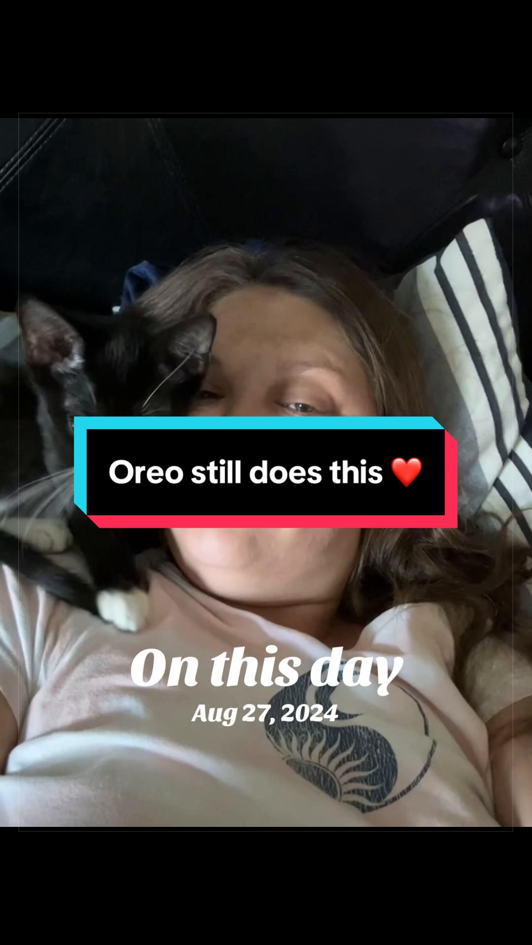 @catlover313official