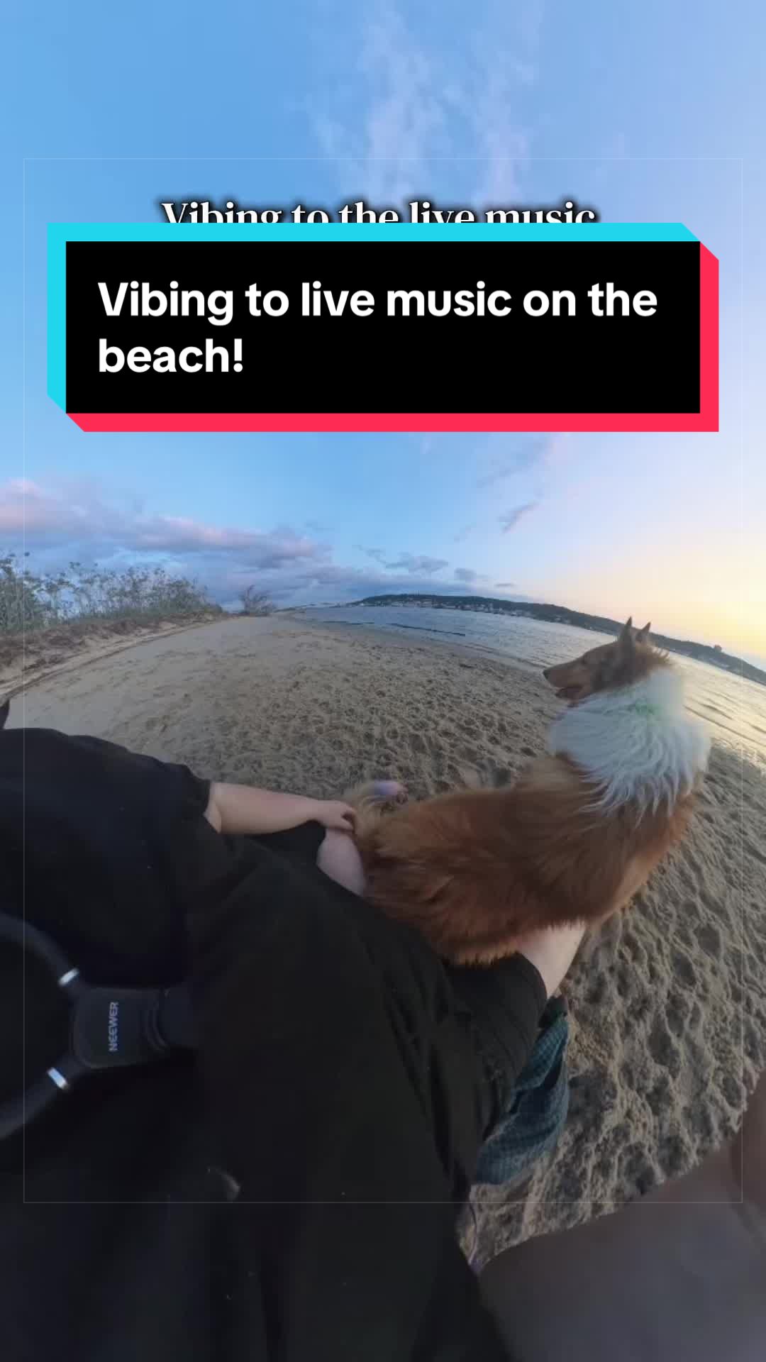 @Dakota & Pups