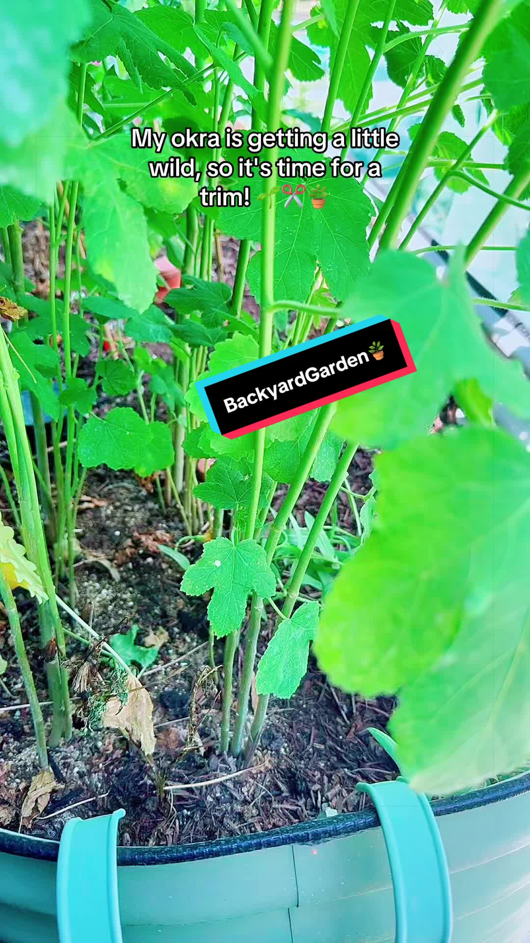 @TeeTee ❌♋️🦀