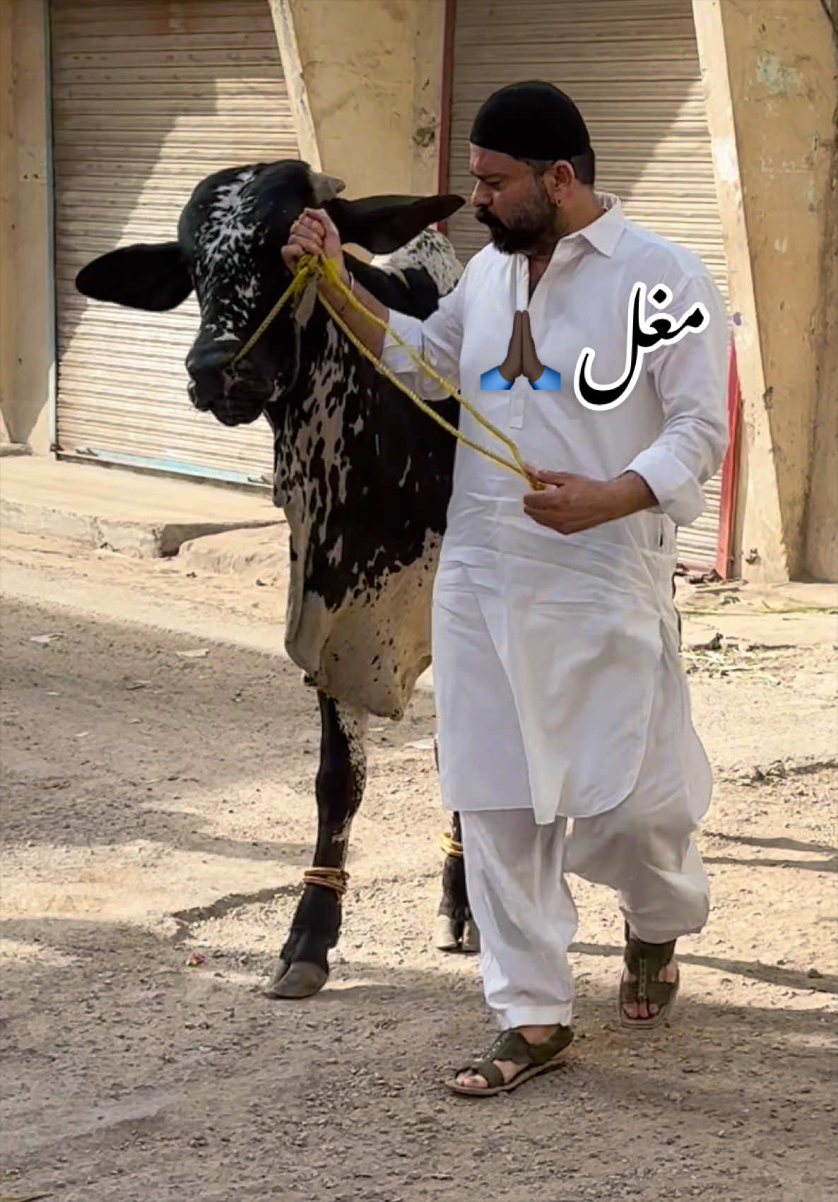 @Liaqat Mughal