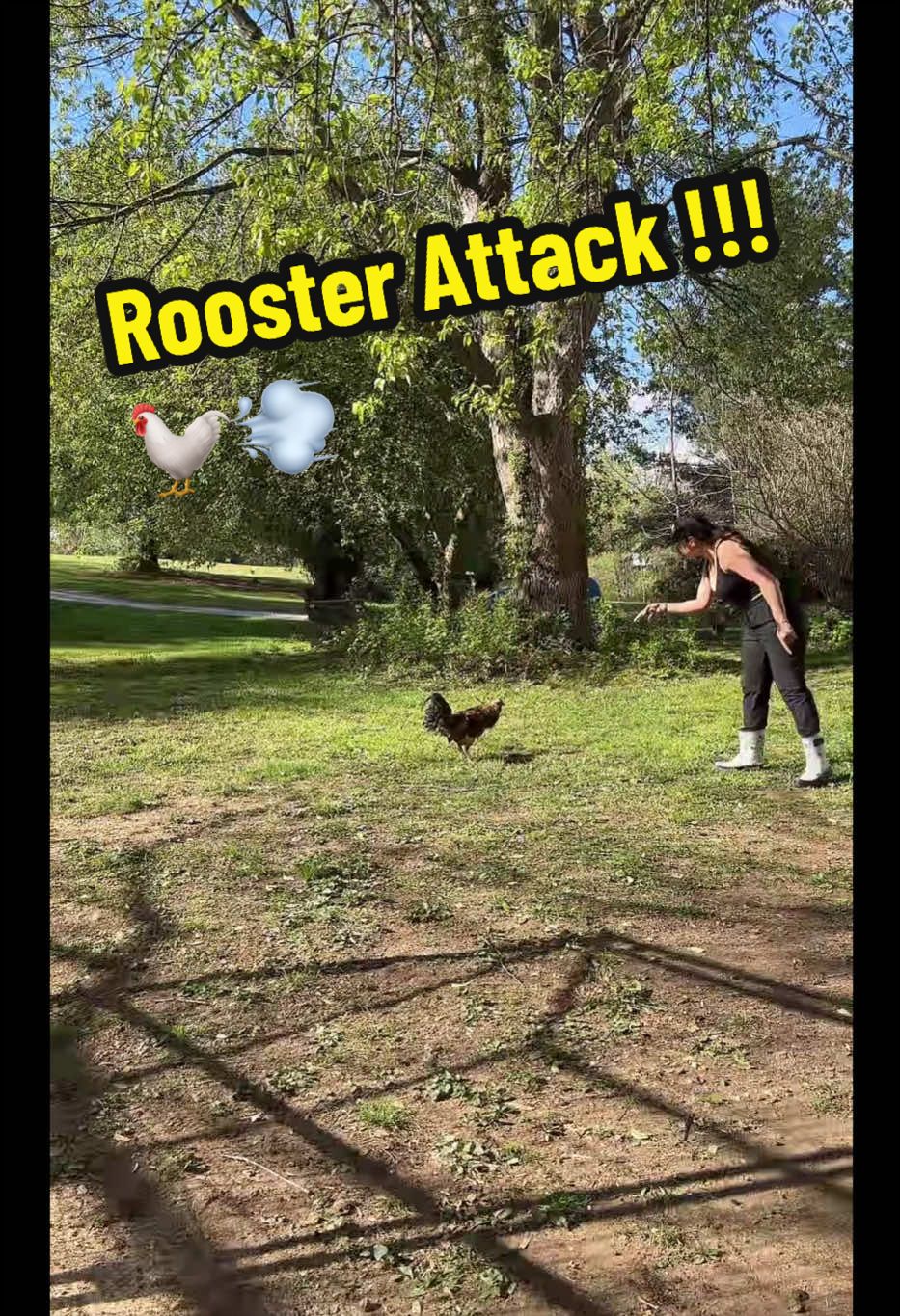 @TalisaTV