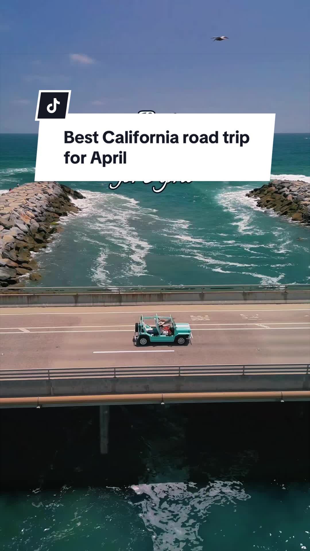@Asya • Travel + California