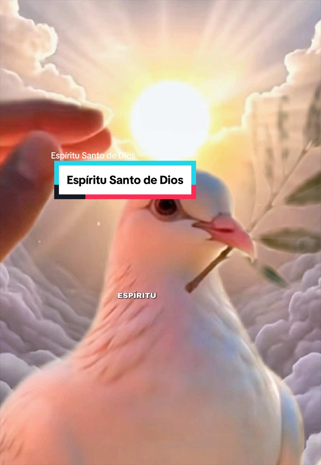 @JUDIT