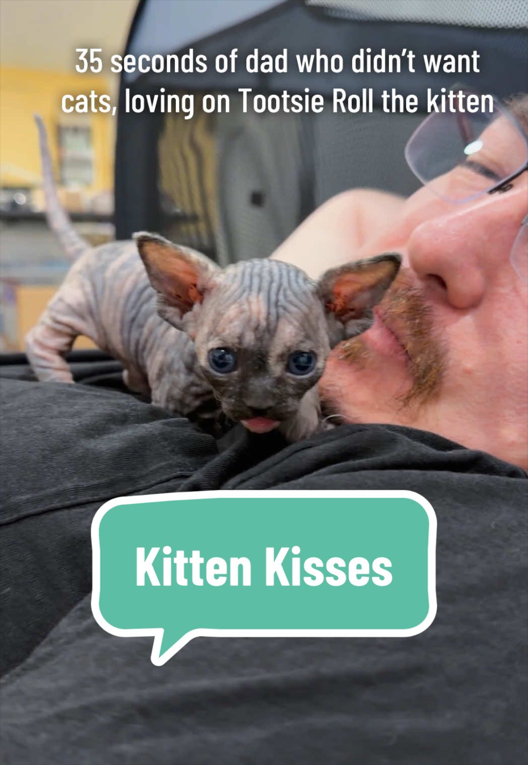 @Boba’s Buds Minskin Cats