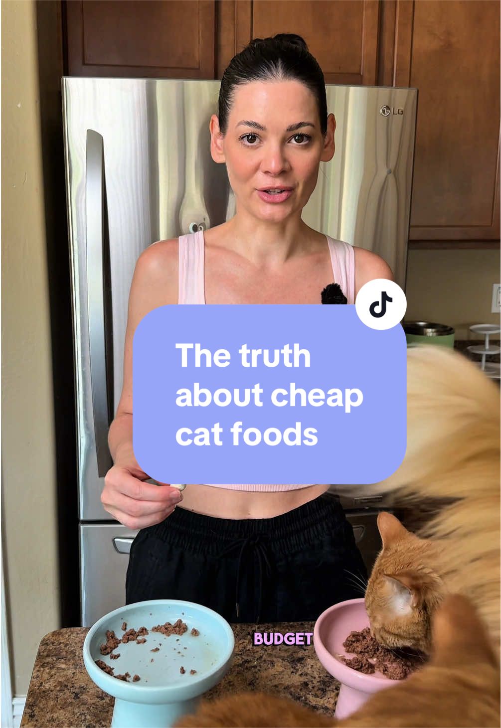 @Feminist Kitty | Cat Nutrition