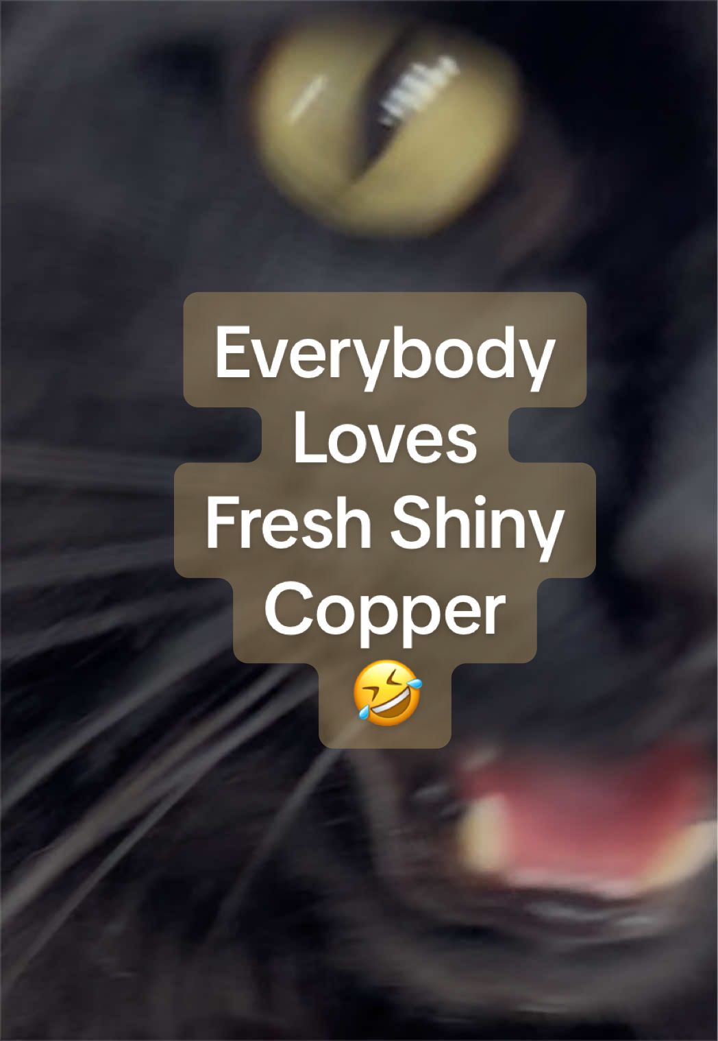 @CopperStillCo