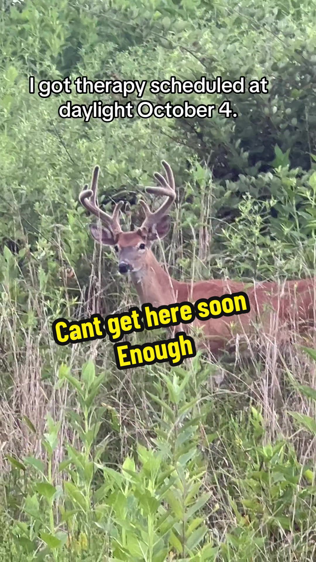 @Josh And Hunter’s Adventures