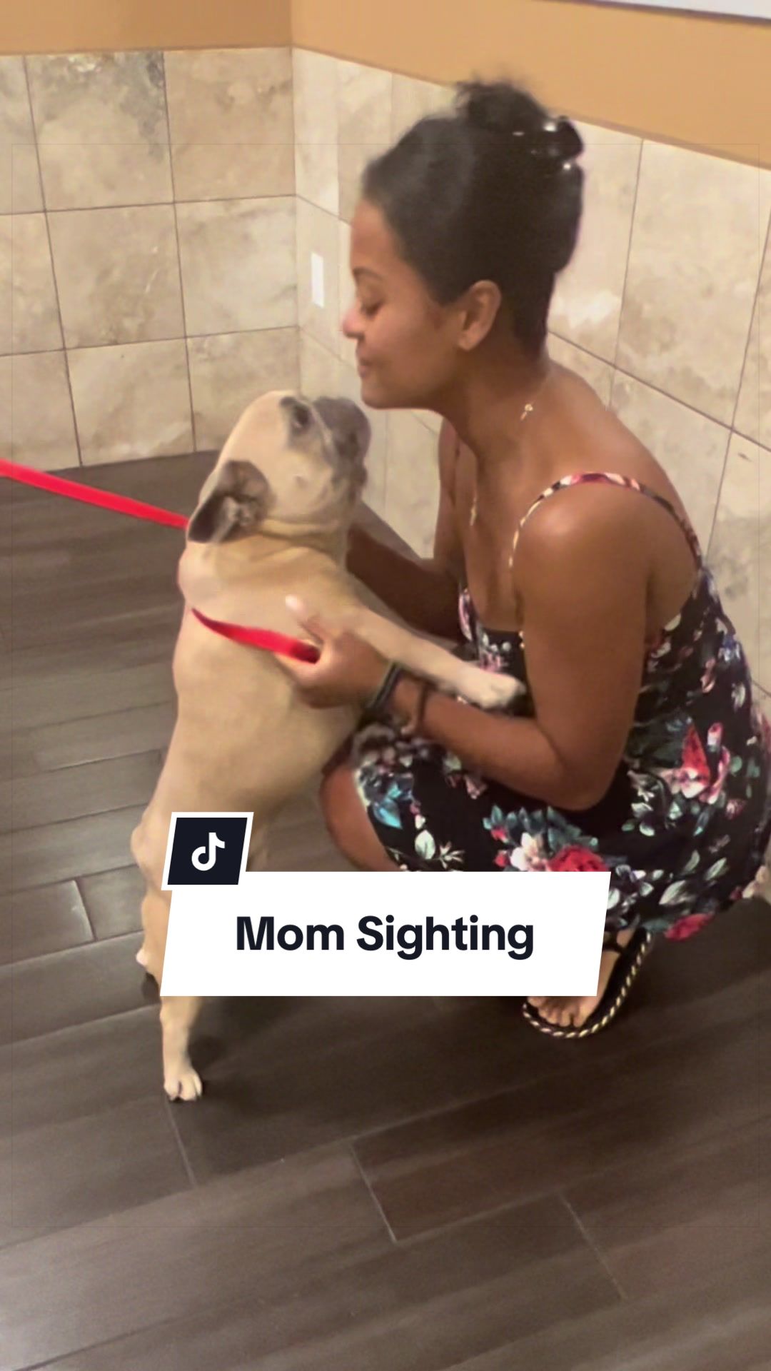 @Somefrenchienamedapollo