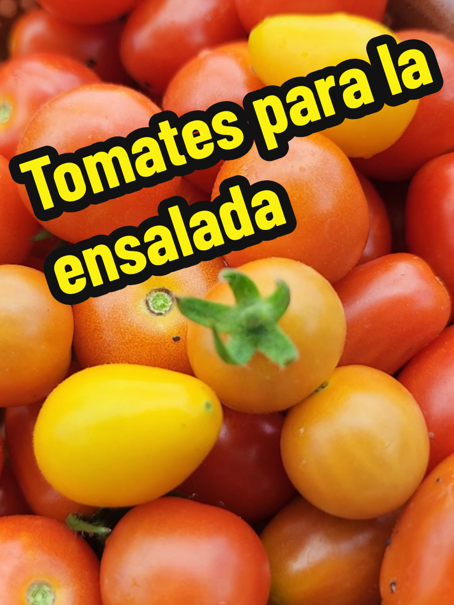 @Mi Rincón Favorito