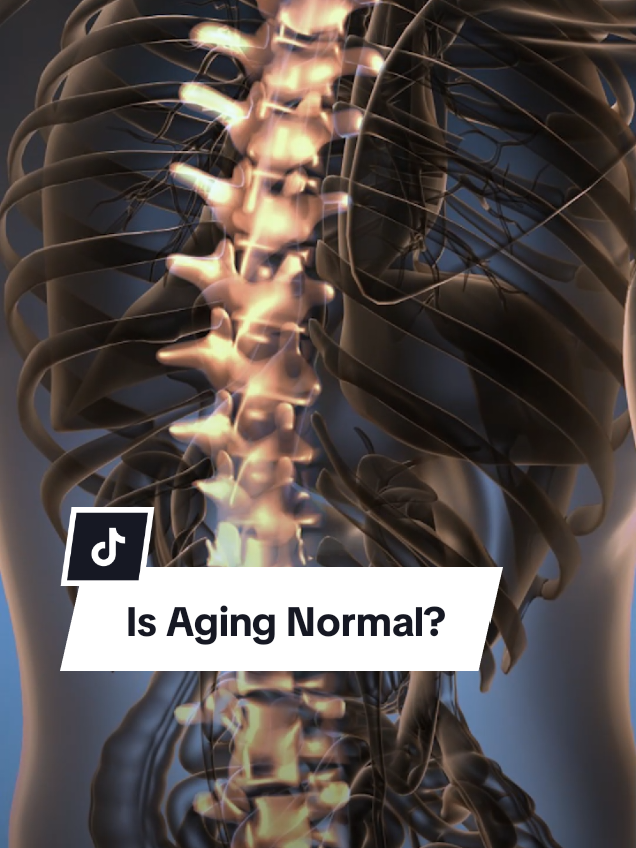 @Dr. Daria Hamrah