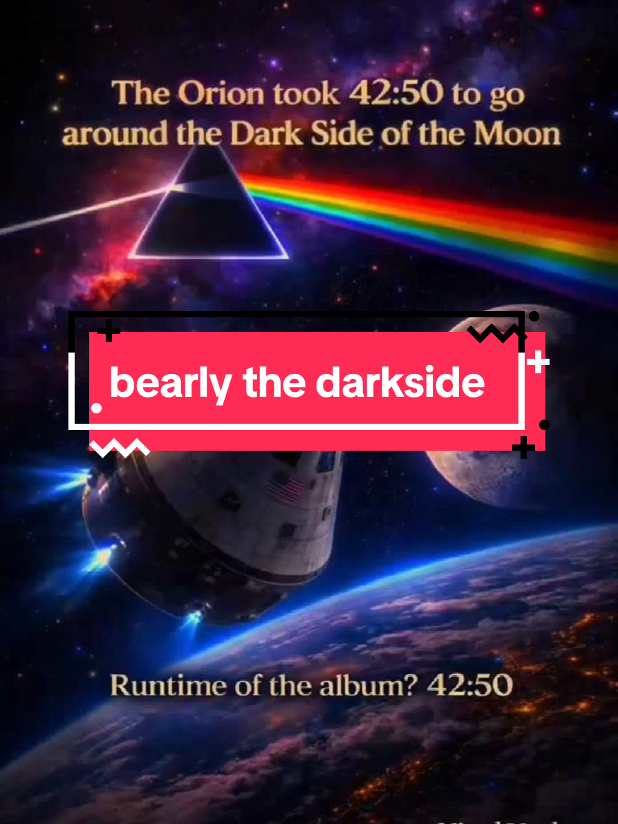 @bearlyconspiracies