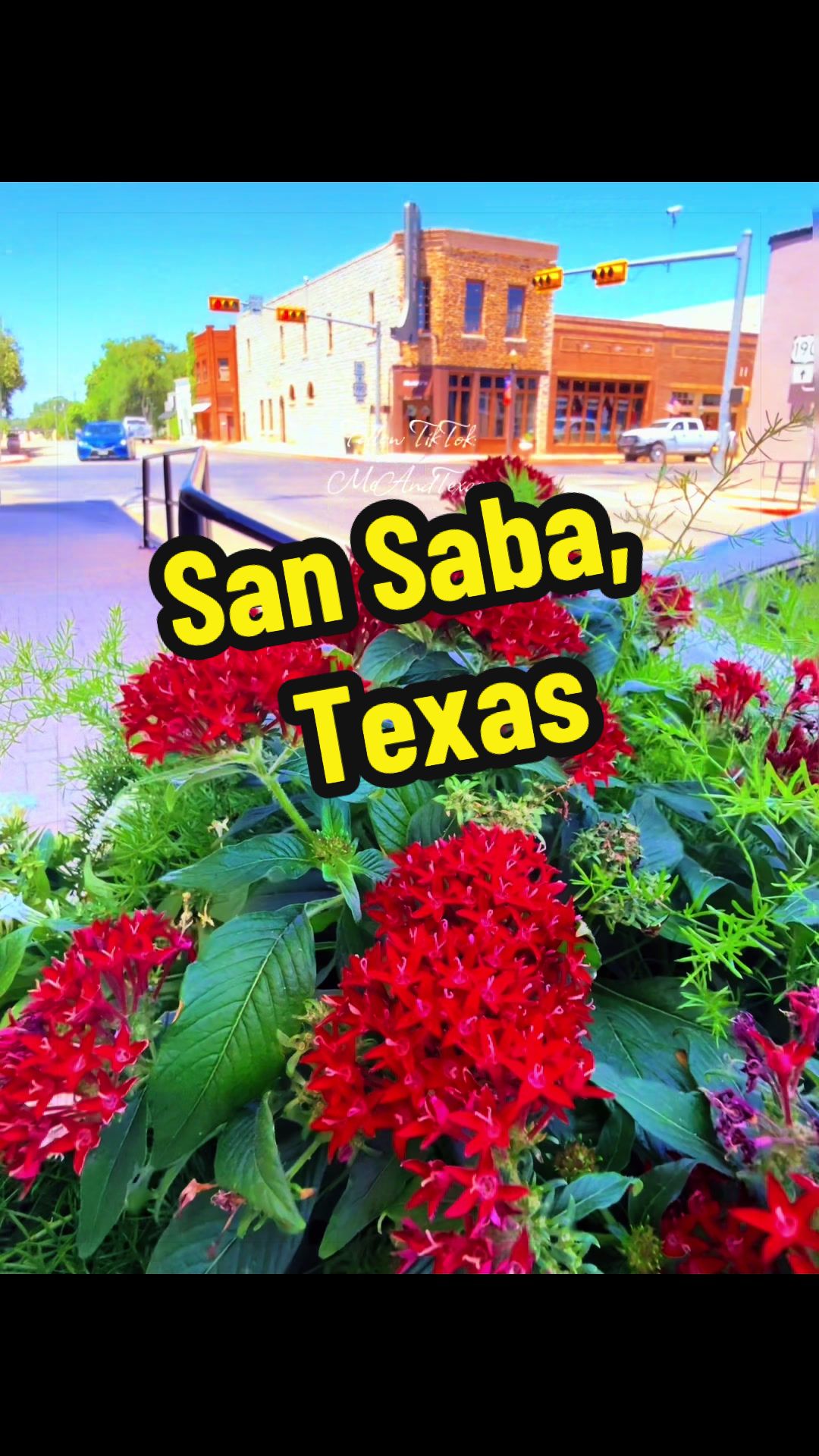 @MEandTEXAS