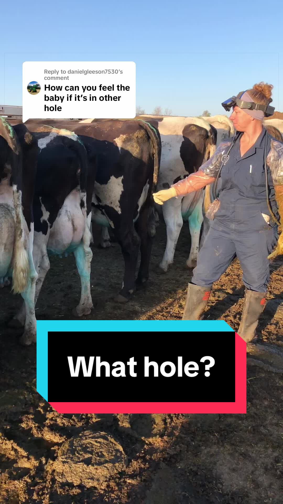 @Dairy Vet Dr. Michelle