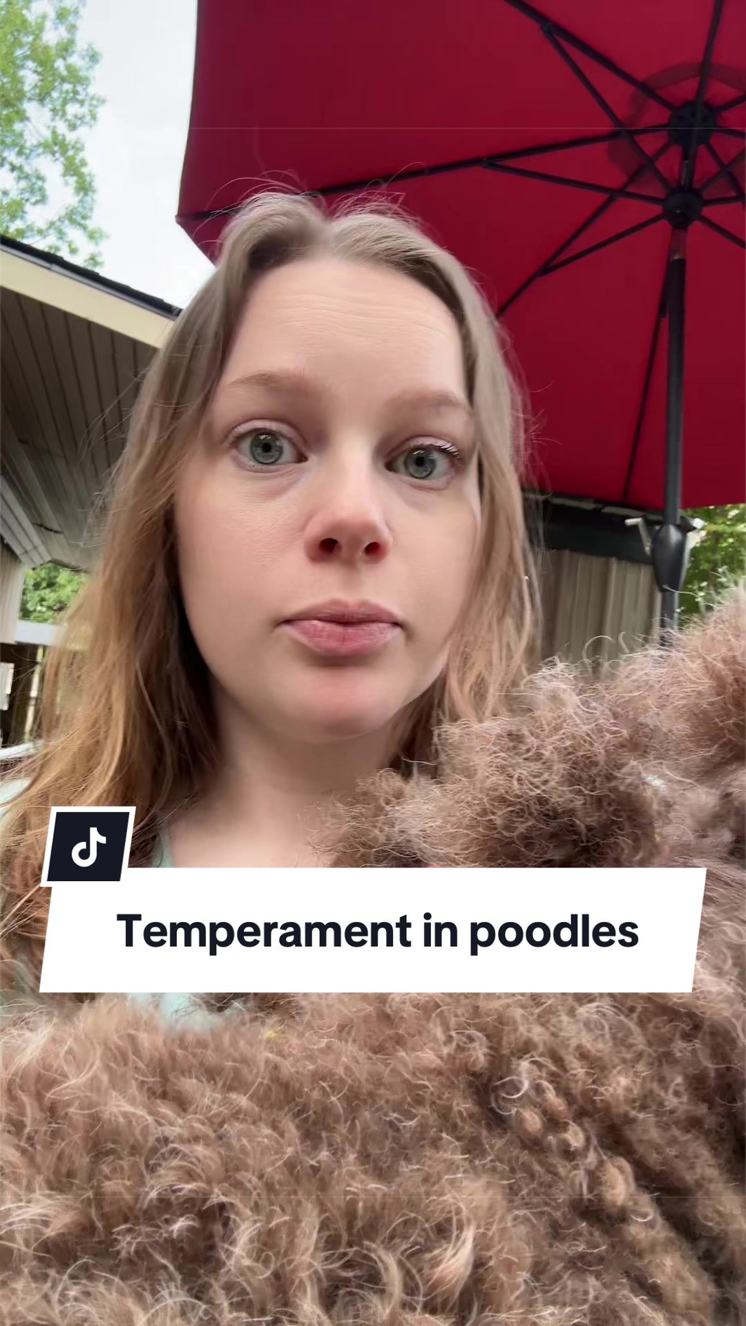 @Maddie, Jovie & Nessie🤍🤎🐩