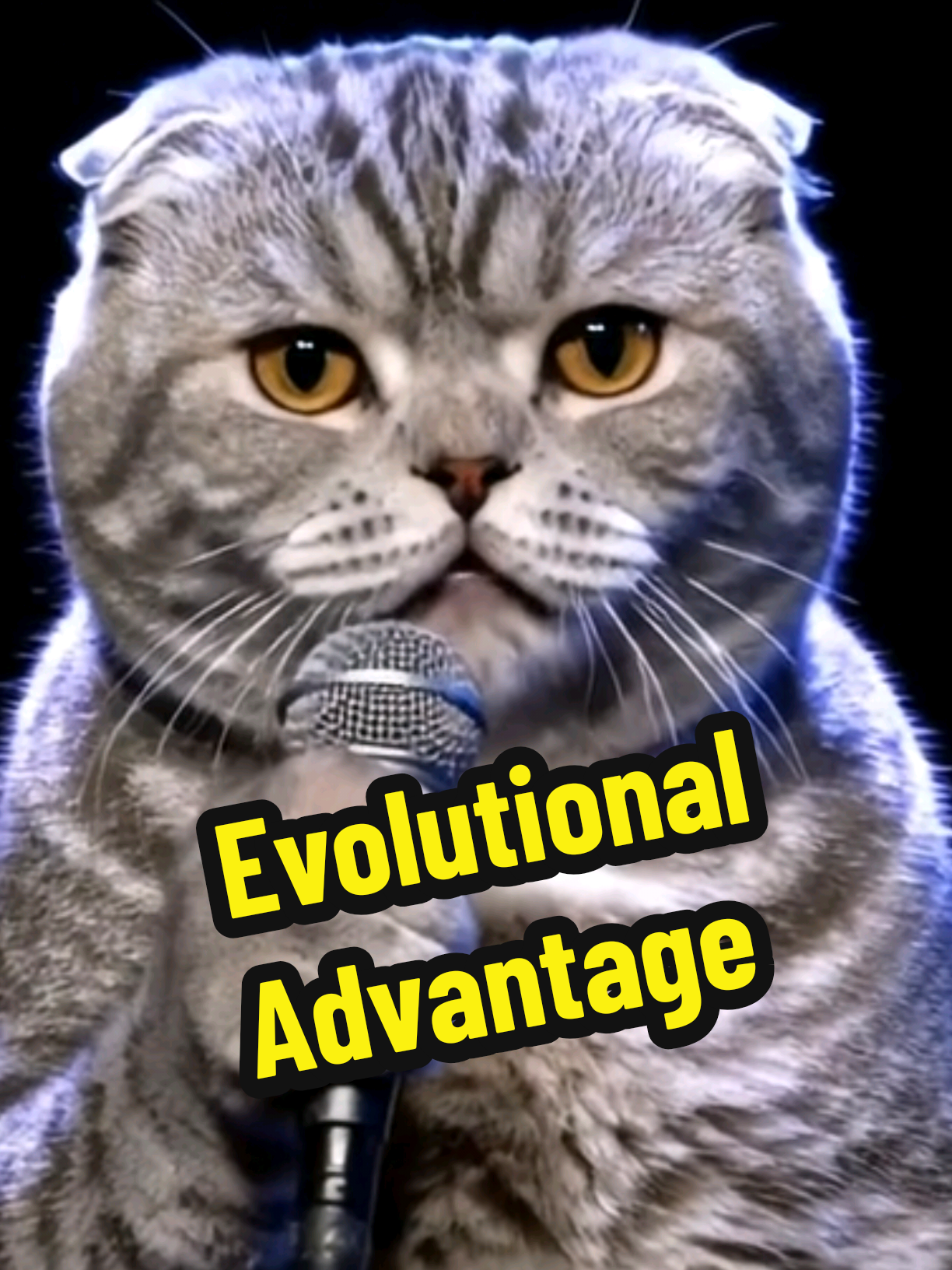 @comedyclubcats