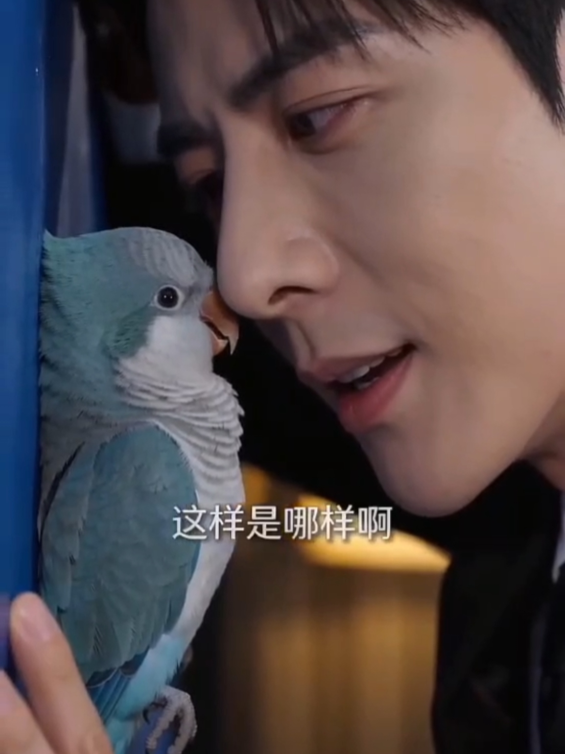 @微醺小熊猫🐼