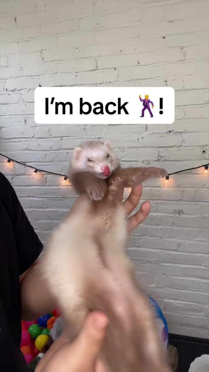@Floofnoodles