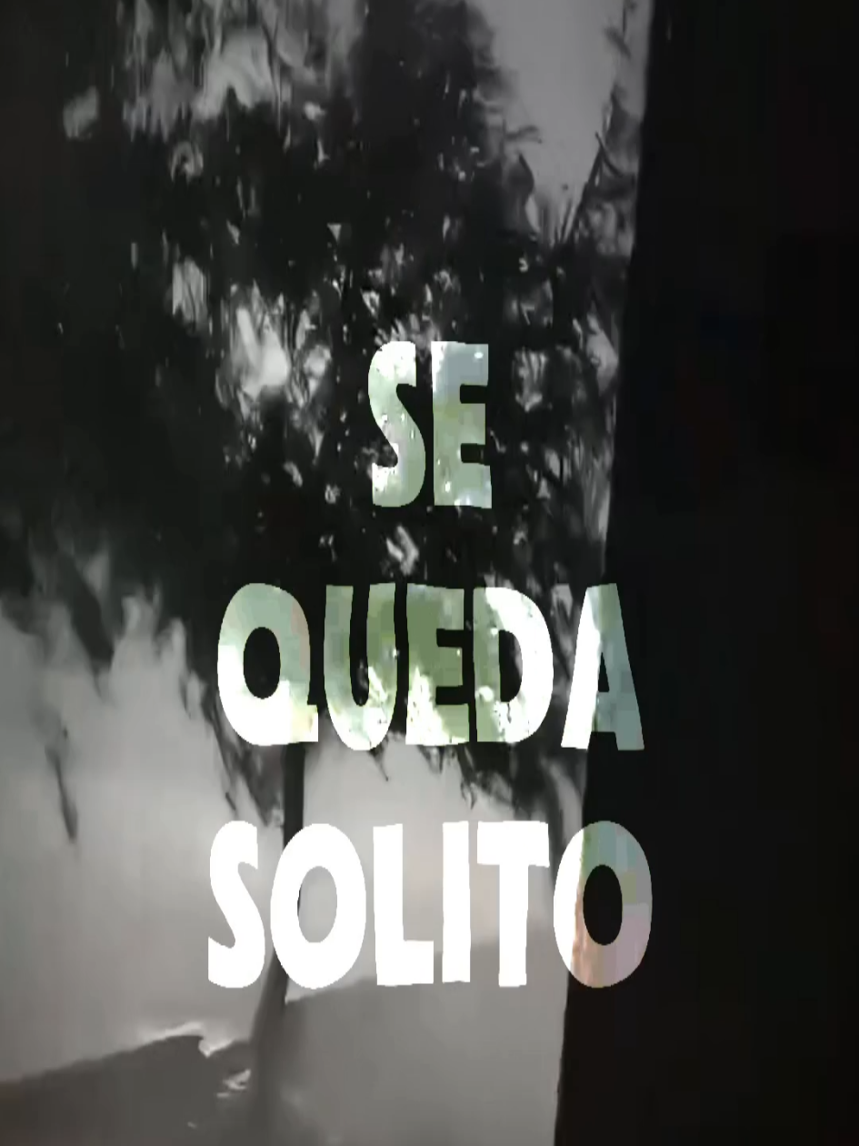 @𝗠𝗨𝗦𝗜𝗖 𝗩𝗜𝗕𝗘𝗦