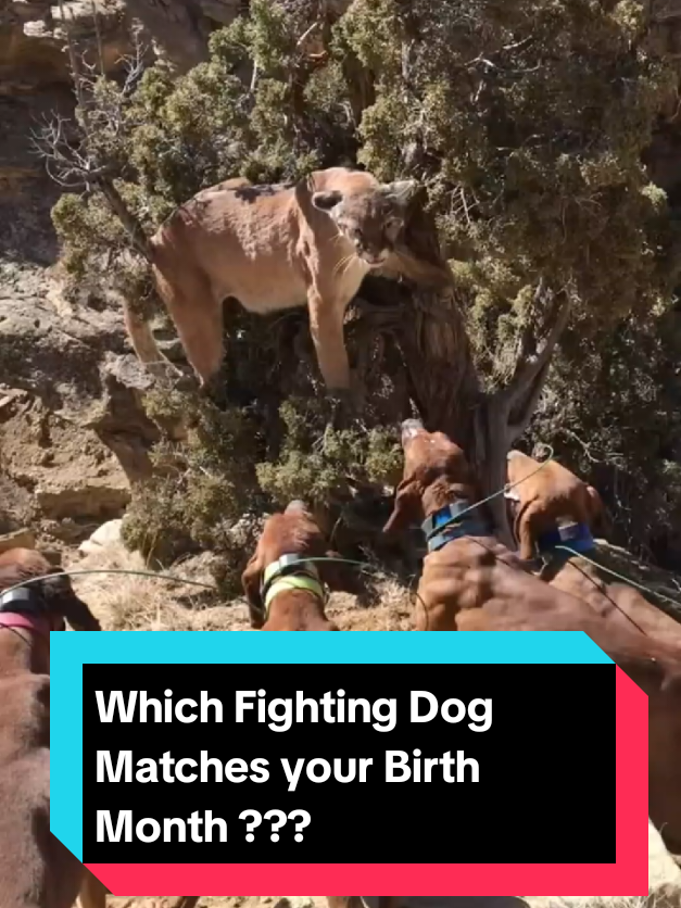 @Richy Beast