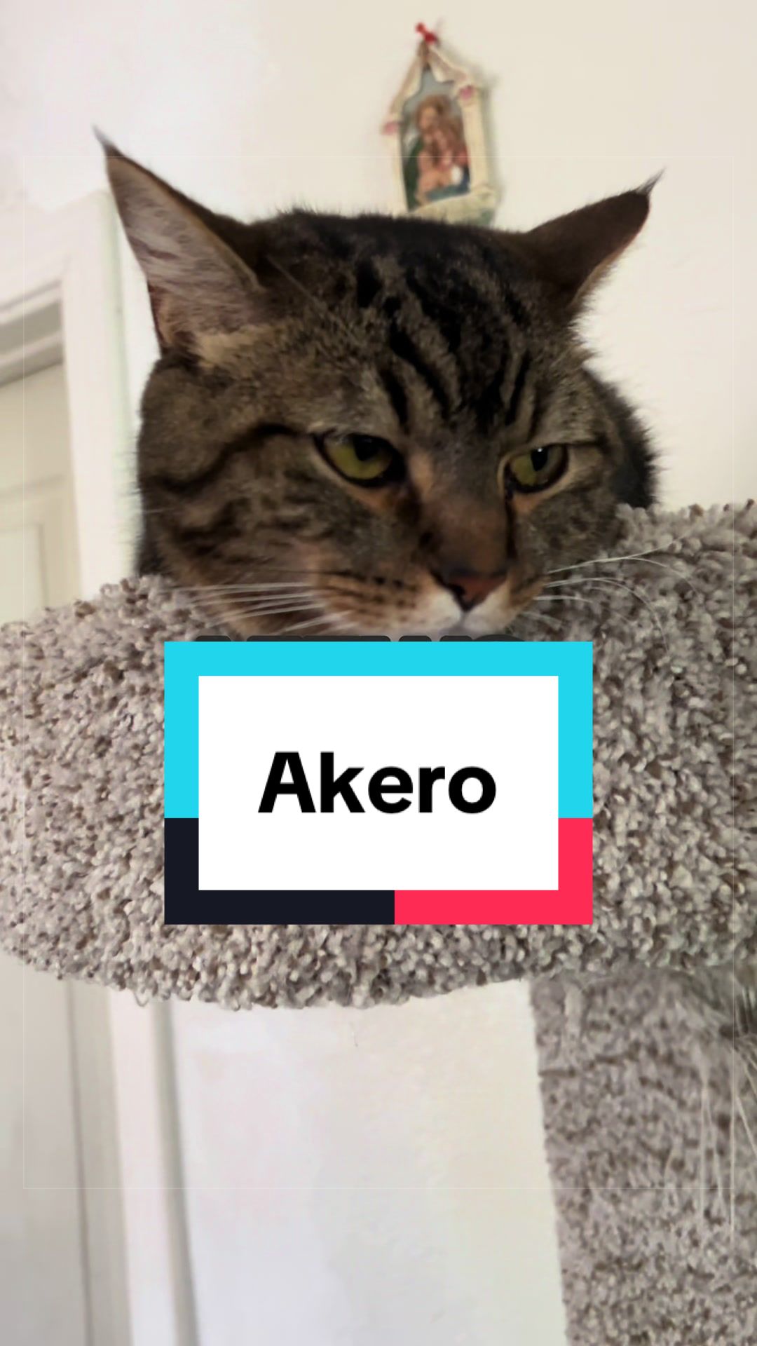 @AceroTM | Twitch
