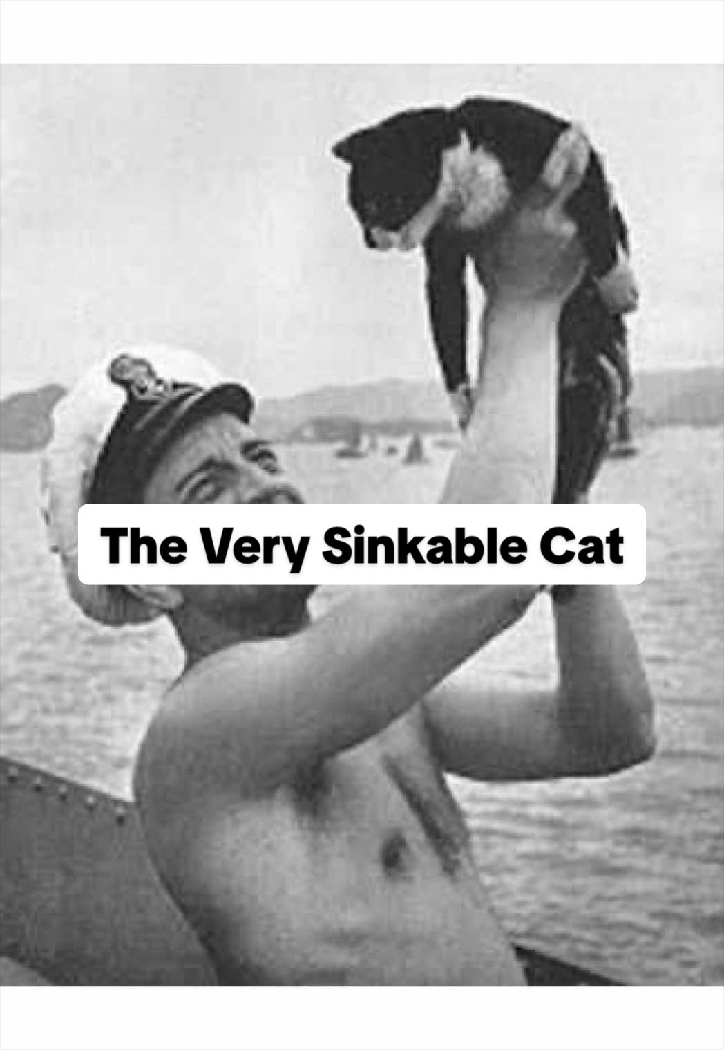 @Stephenknowstuff