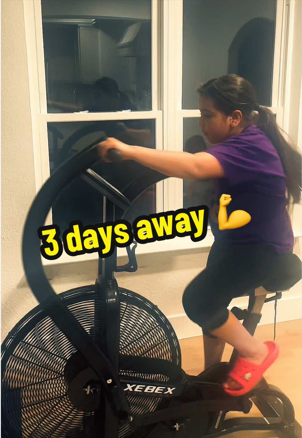 @Alayna BJJ