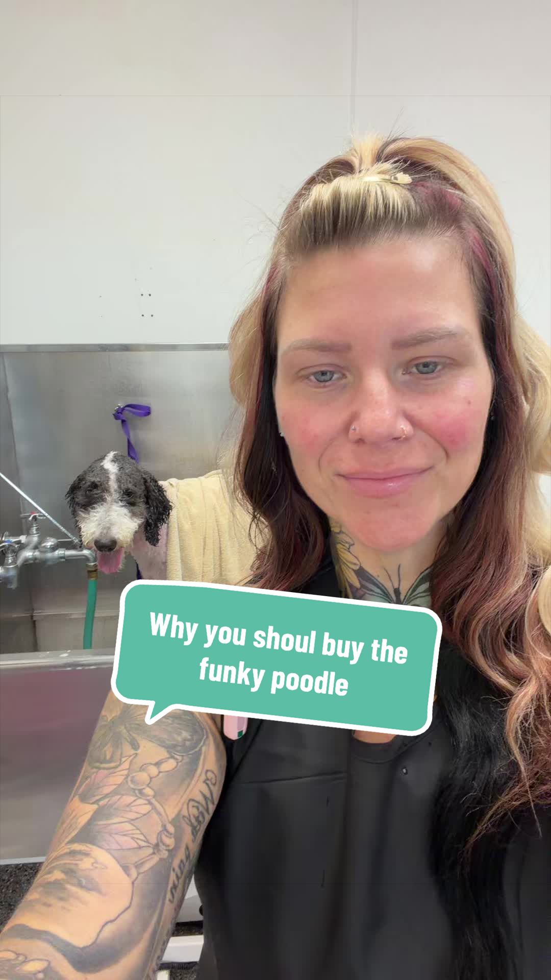 @Okayest dog groomer