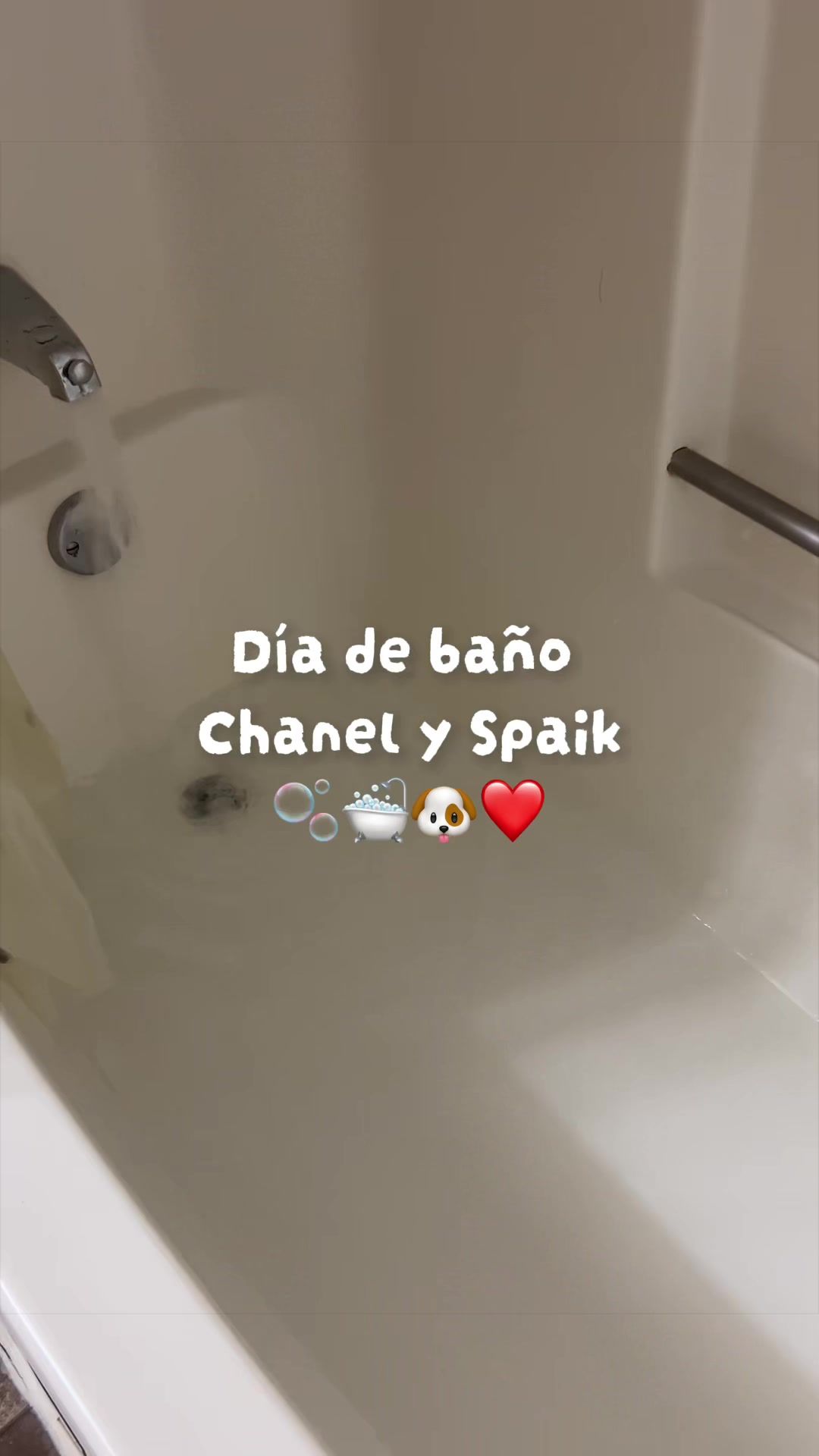 @Angie O💗
