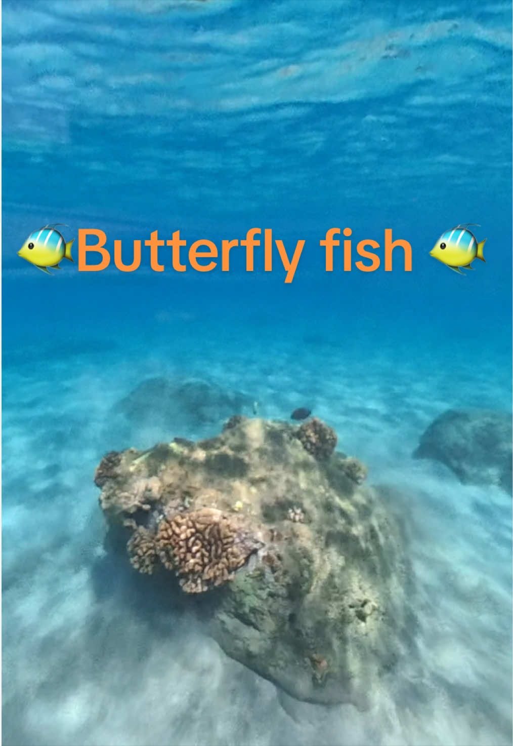 @🌺AN🩵