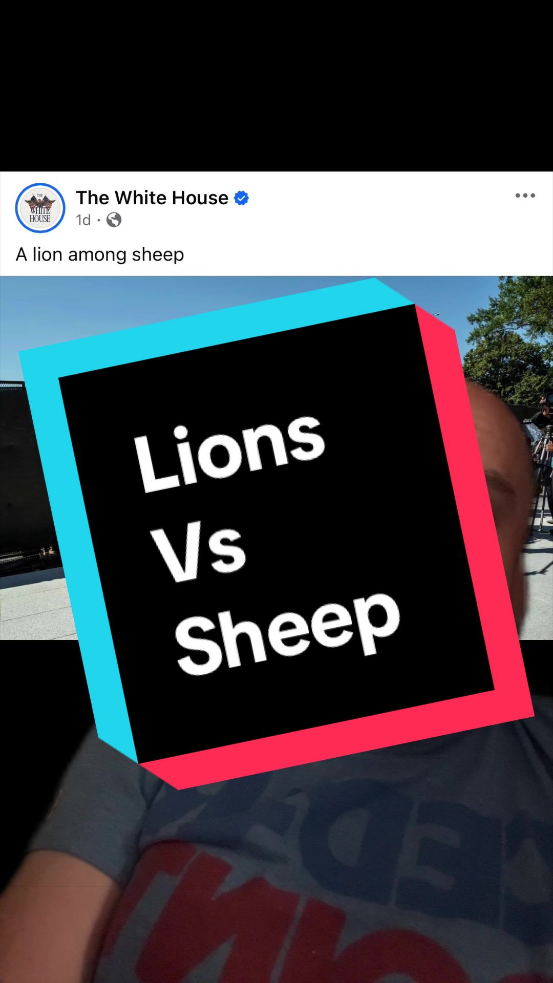 @Steven