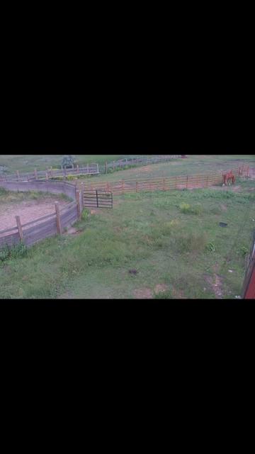@Flint_❌ARRR Rescue Ranch
