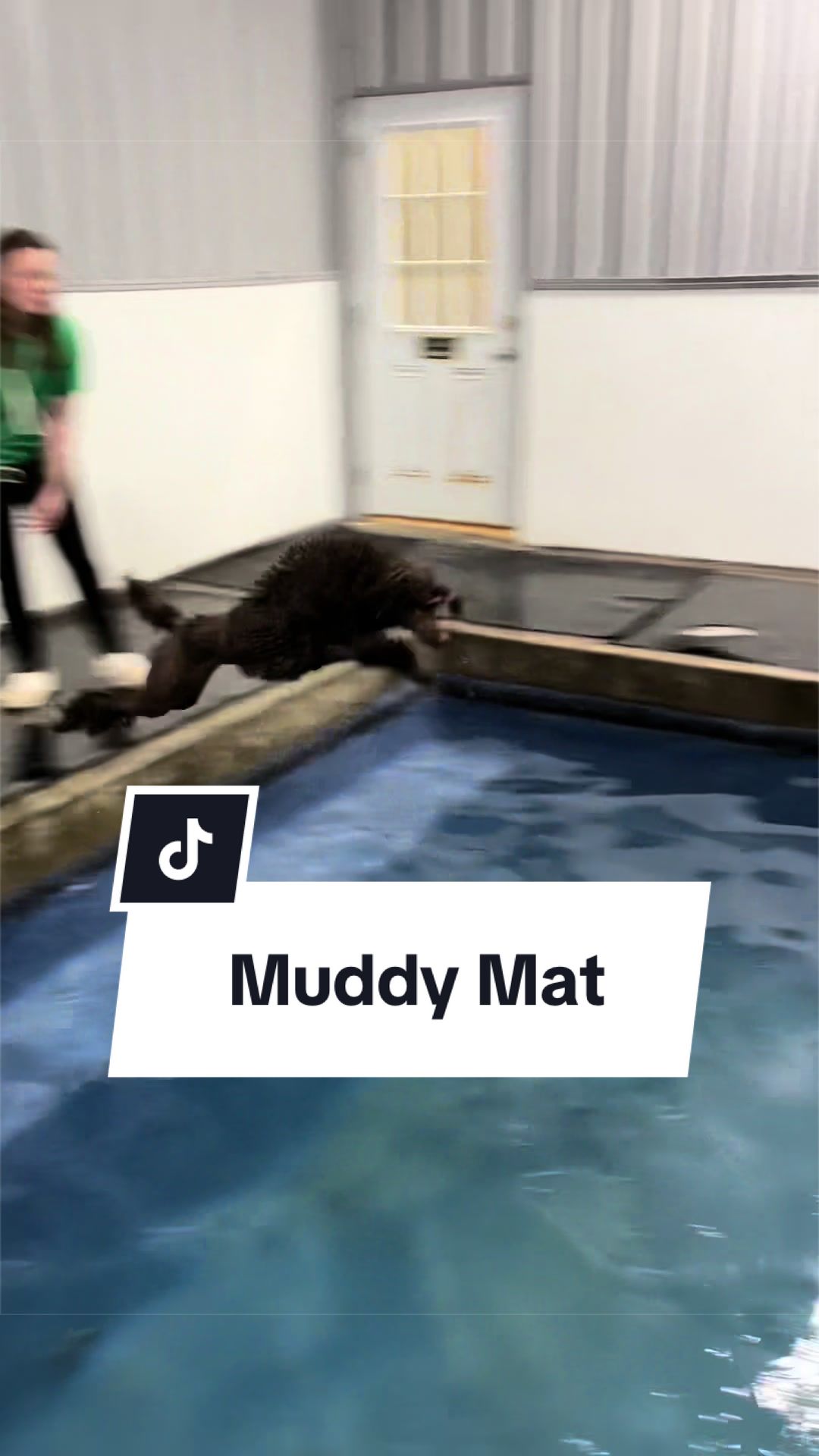 @Maddie, Jovie & Nessie🤍🤎🐩